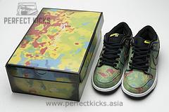 CZ5123-001 Civilist x Nike SB Dunk Low Pro QS Thermography - Image 6