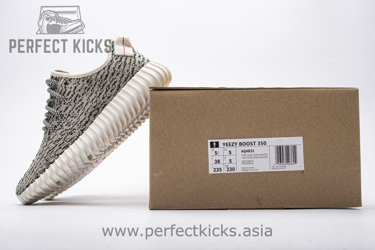 AQ4832 adidas Yeezy Boost 350 Turtle Dove Basf Boost - Image 2