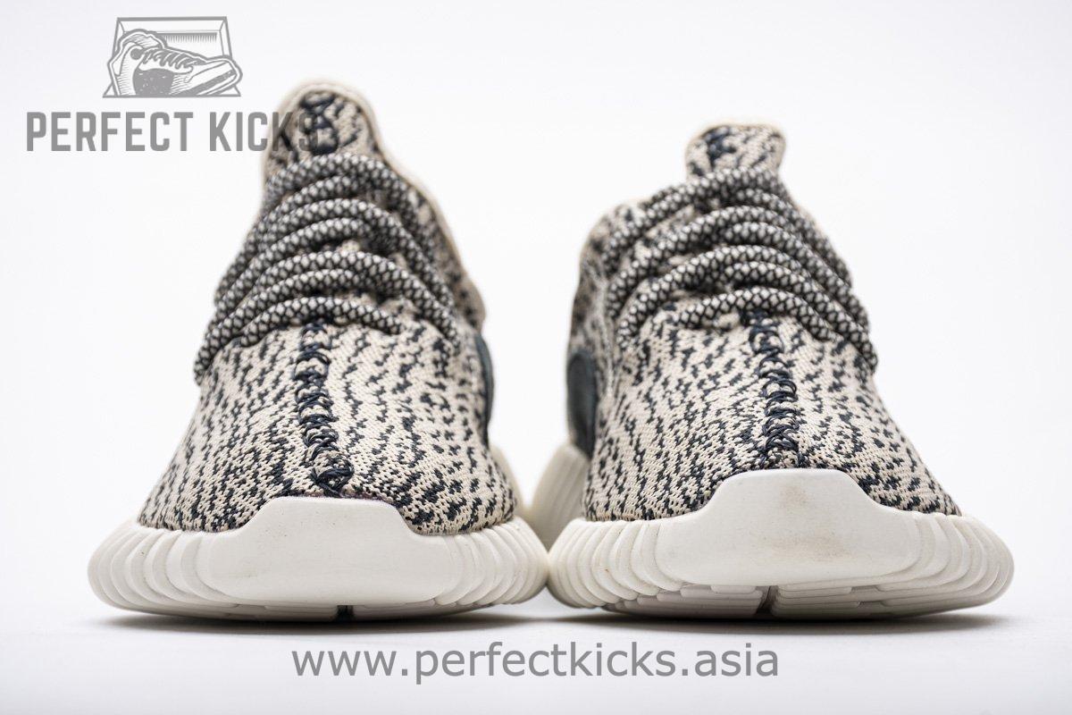AQ4832 adidas Yeezy Boost 350 Turtle Dove Basf Boost - Image 5