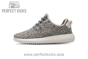 AQ4832 adidas Yeezy Boost 350 Turtle Dove Basf Boost