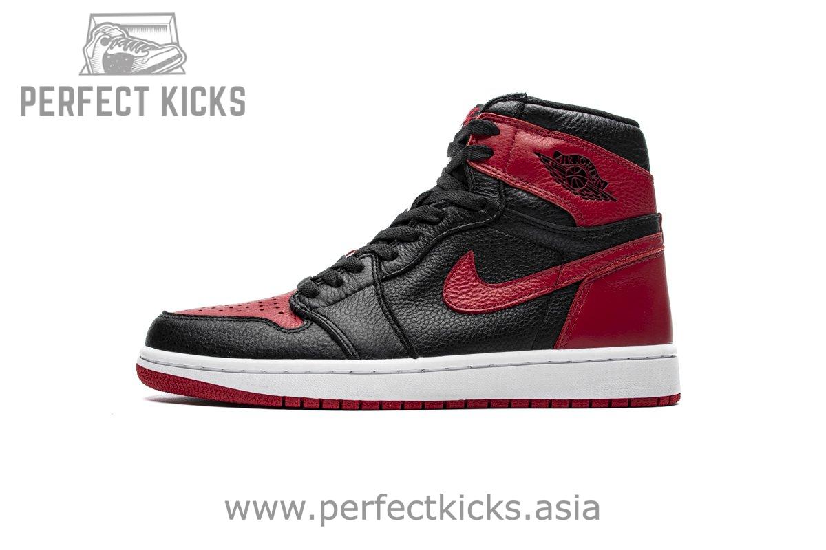 Air Jordan 1 Retro High OG 'Homage 2 Home' 861428-061 - Image 10