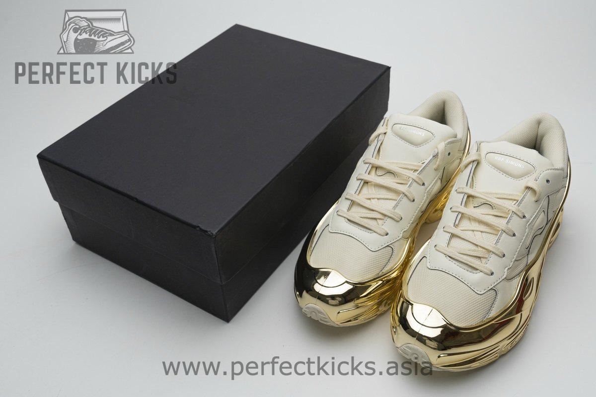 EE7943 adidas X Raf Simons Ozweego White Gold Metallic - Image 5