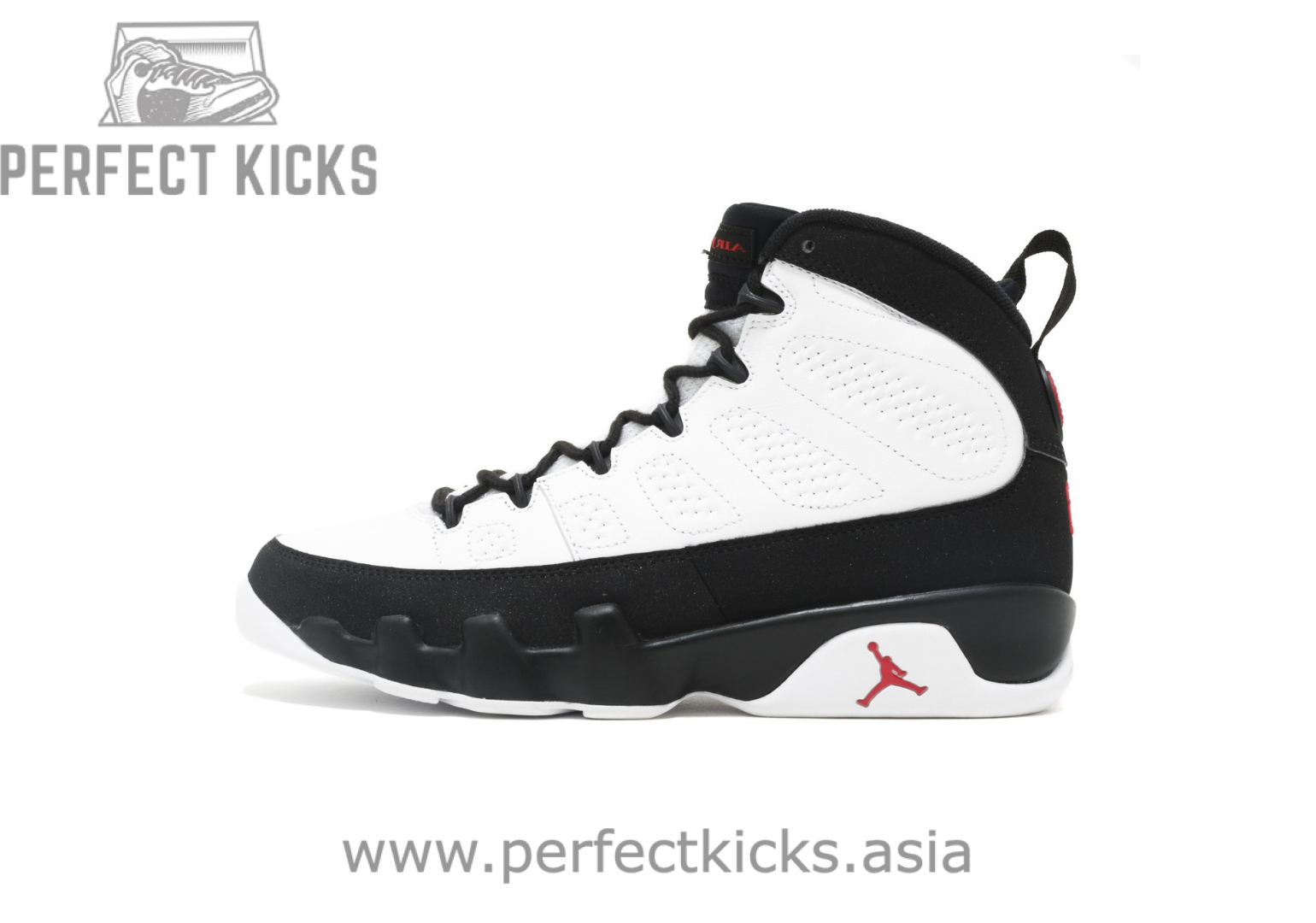Air Jordan 9 OG “Space Jam” 302370-112